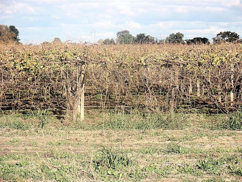 512 Karadoc Avenue, Nichols Point VIC 3501