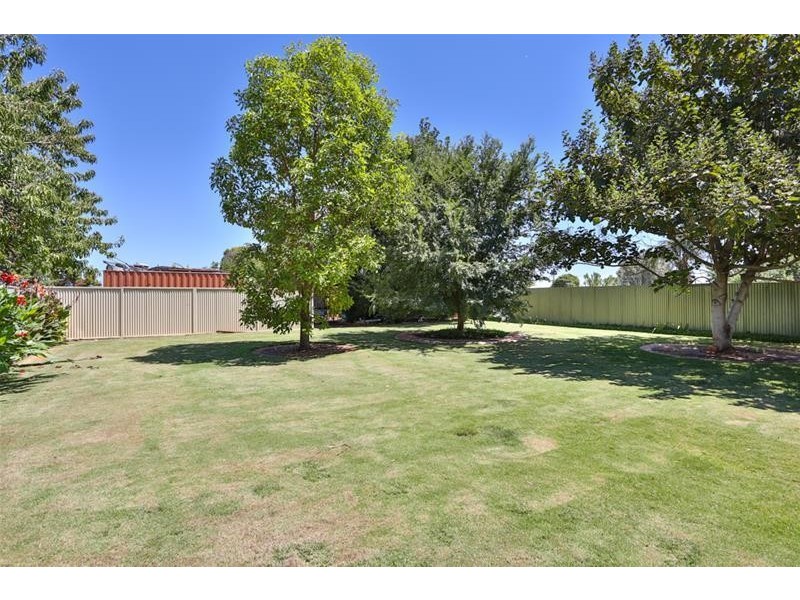 17 Tambo Road, Red Cliffs VIC 3496