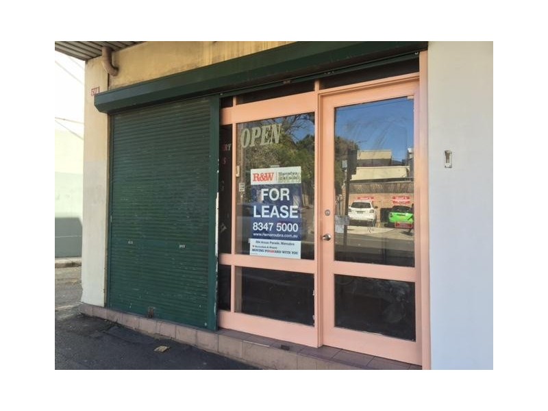 571 Elizabeth  Street, Redfern NSW 2016