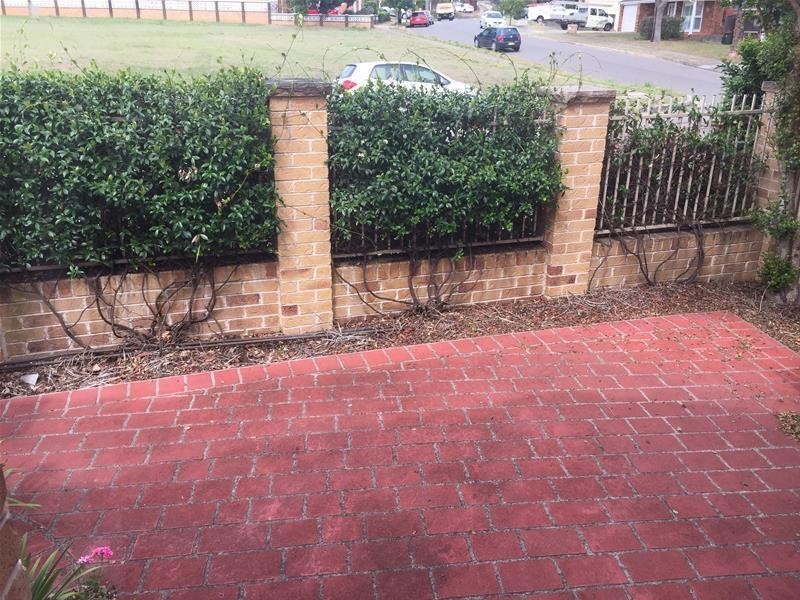 20 Knowles Avenue, Matraville NSW 2036