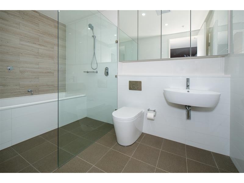 303A/1 Muller Lane, Mascot NSW 2020