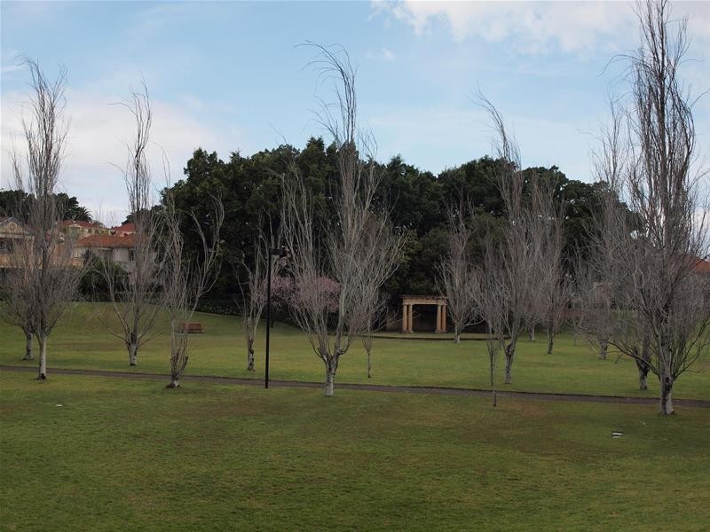 703/3 Blacklion Place, Kensington NSW 2033