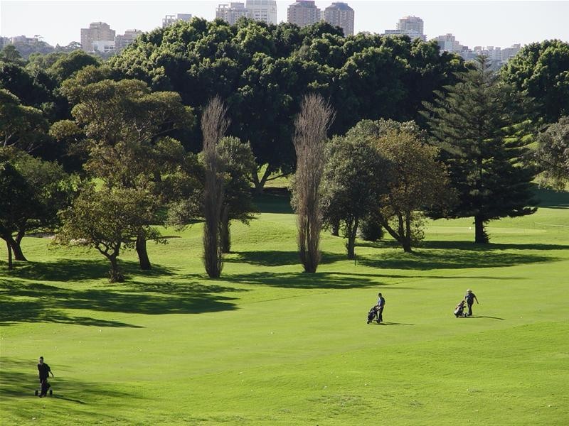 501/95 Brompton Road, Kensington NSW 2033