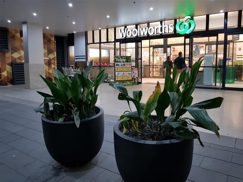 102/220 Coward Street, Mascot NSW 2020