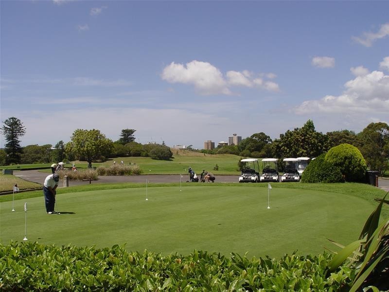 15 The Serpentine, Kensington NSW 2033