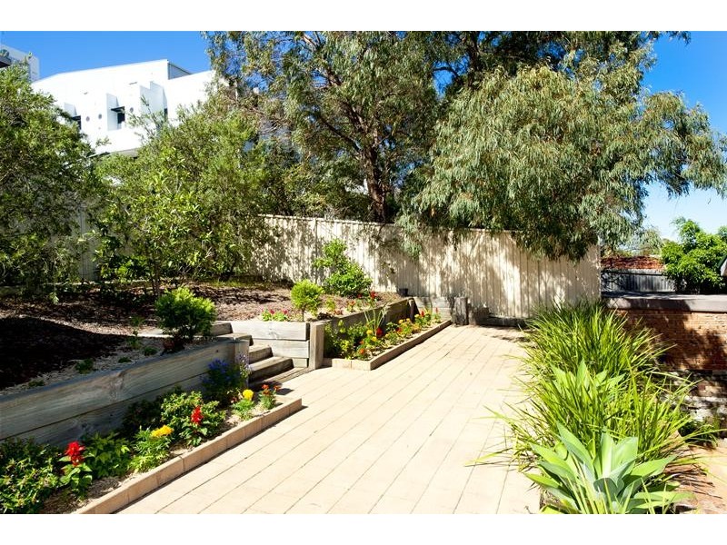 35 Eurimbla Avenue, Randwick NSW 2031