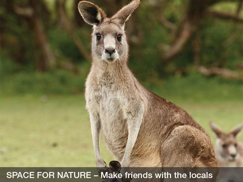 - Mon Terre Ridge, Little Mountain QLD 4551