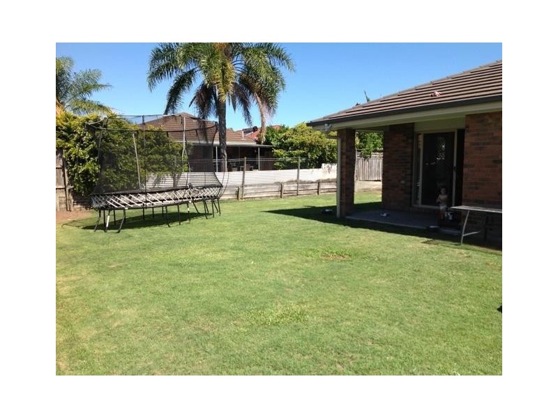 28 Daintree Blvd, Little Mountain QLD 4551