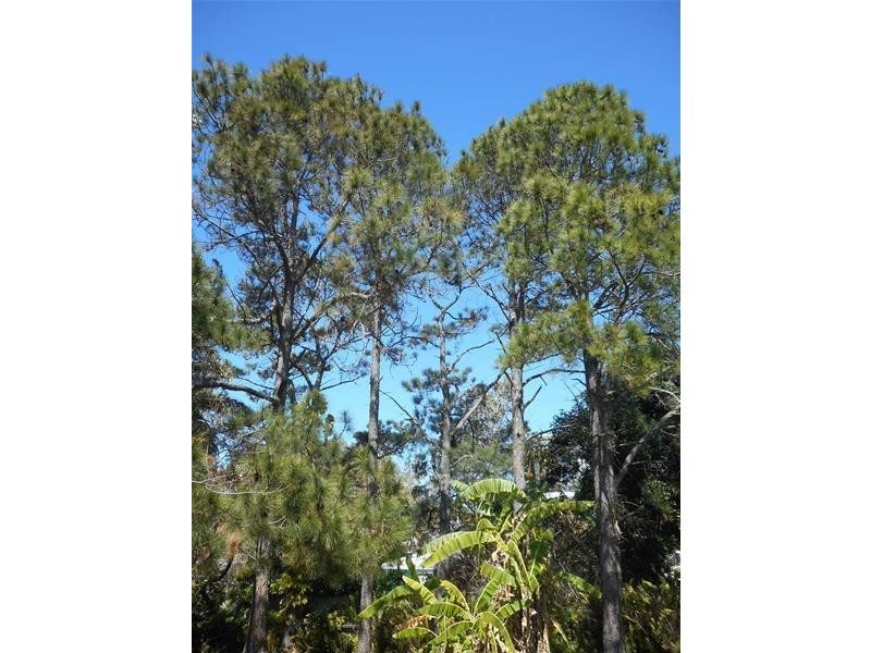 4 Edridge Street, Shelly Beach QLD 4551