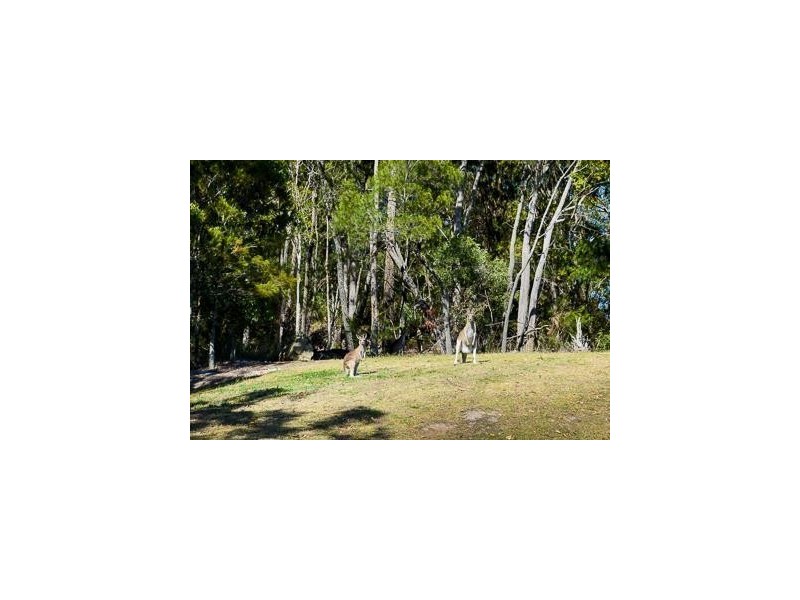 Lot 4 Mon Terre Drive,, Little Mountain QLD 4551