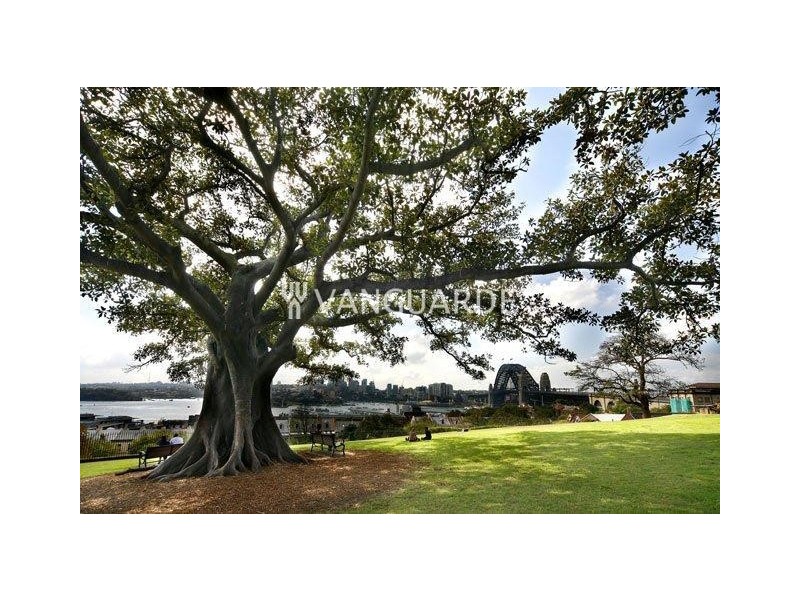 171 Gloucester Street, Sydney NSW 2000