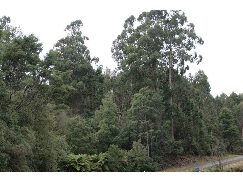 Lot 1 Priestley’s Lane, Frankford TAS 7275