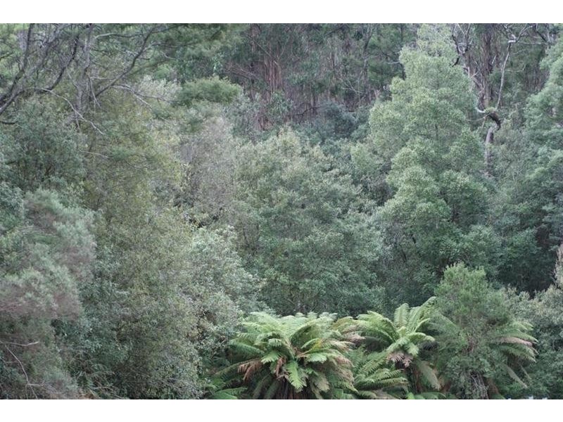 Lot 1 Priestley’s Lane, Frankford TAS 7275