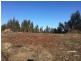 LOT 2 Pipers River Road, Pipers River TAS 7252