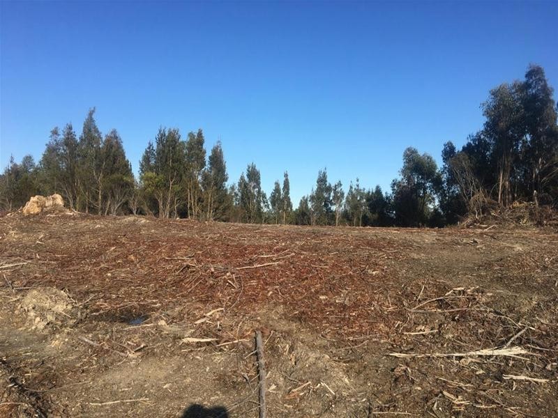 LOT 2 Pipers River Road, Pipers River TAS 7252