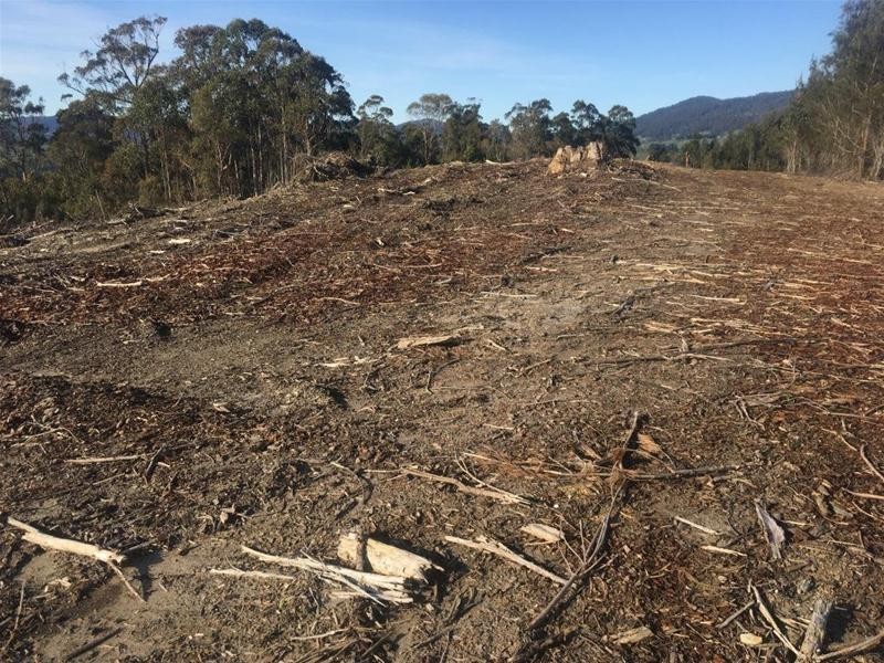 LOT 2 Pipers River Road, Pipers River TAS 7252