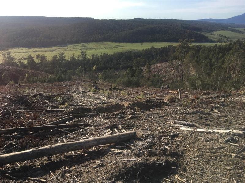 LOT 2 Pipers River Road, Pipers River TAS 7252