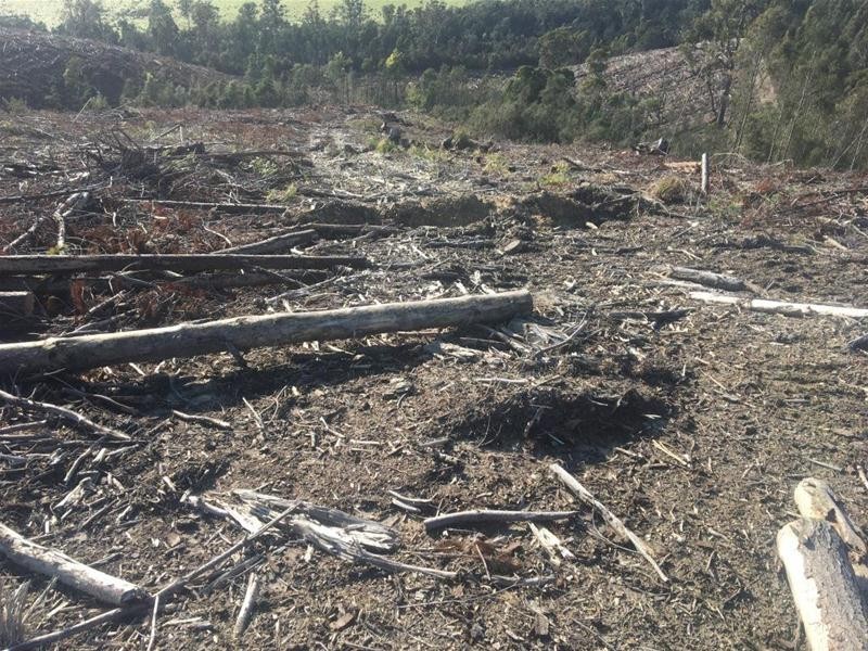 LOT 2 Pipers River Road, Pipers River TAS 7252