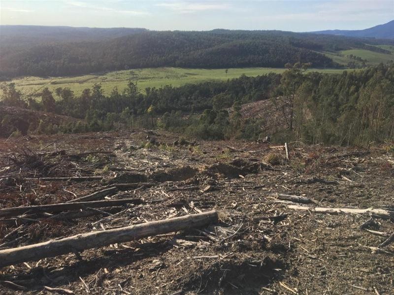 LOT 2 Pipers River Road, Pipers River TAS 7252