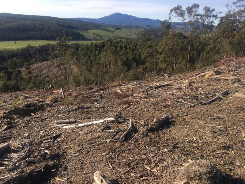 LOT 2 Pipers River Road, Pipers River TAS 7252