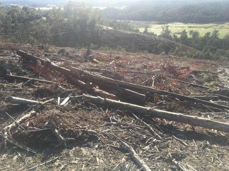 LOT 2 Pipers River Road, Pipers River TAS 7252