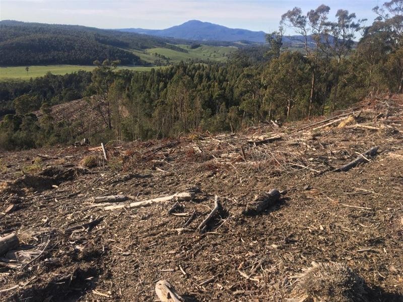 LOT 2 Pipers River Road, Pipers River TAS 7252