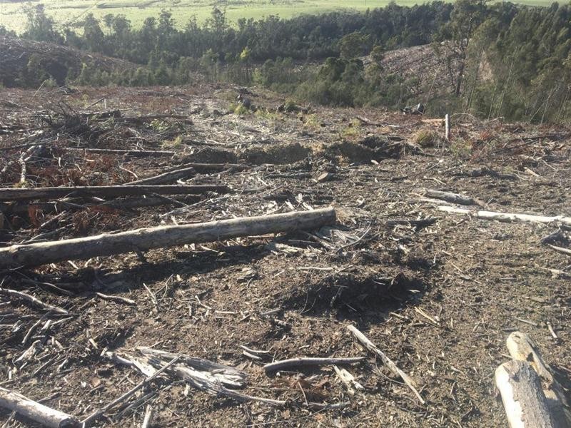 LOT 2 Pipers River Road, Pipers River TAS 7252