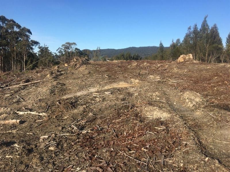 LOT 2 Pipers River Road, Pipers River TAS 7252
