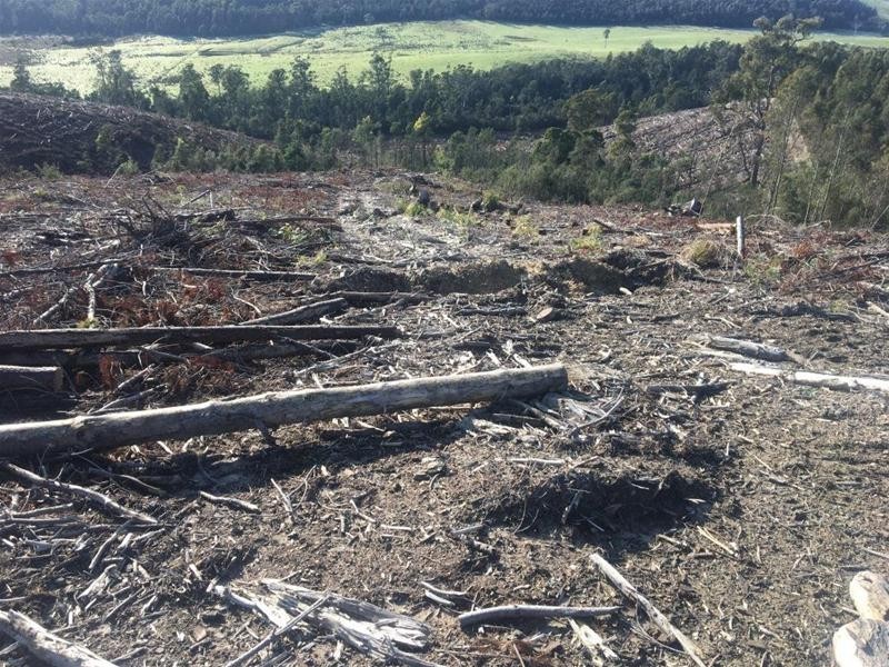 LOT 2 Pipers River Road, Pipers River TAS 7252