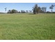 519 Felminghams Road, Deloraine TAS 7304