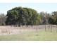 519 Felminghams Road, Deloraine TAS 7304