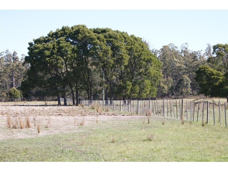 519 Felminghams Road, Deloraine TAS 7304