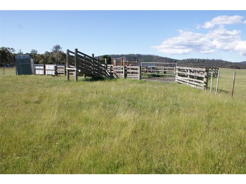 519 Felminghams Road, Deloraine TAS 7304