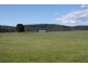 519 Felminghams Road, Deloraine TAS 7304
