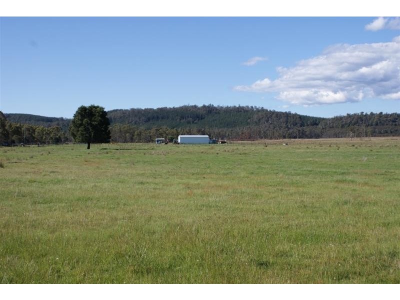 519 Felminghams Road, Deloraine TAS 7304