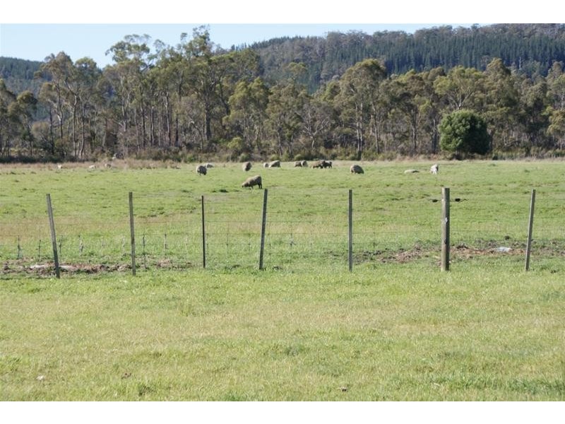 519 Felminghams Road, Deloraine TAS 7304