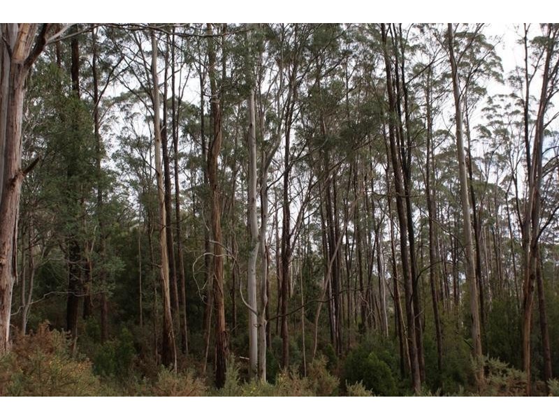 Lot 2 Pumicestone Road, Deloraine TAS 7304