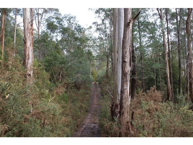 Lot 2 Pumicestone Road, Deloraine TAS 7304