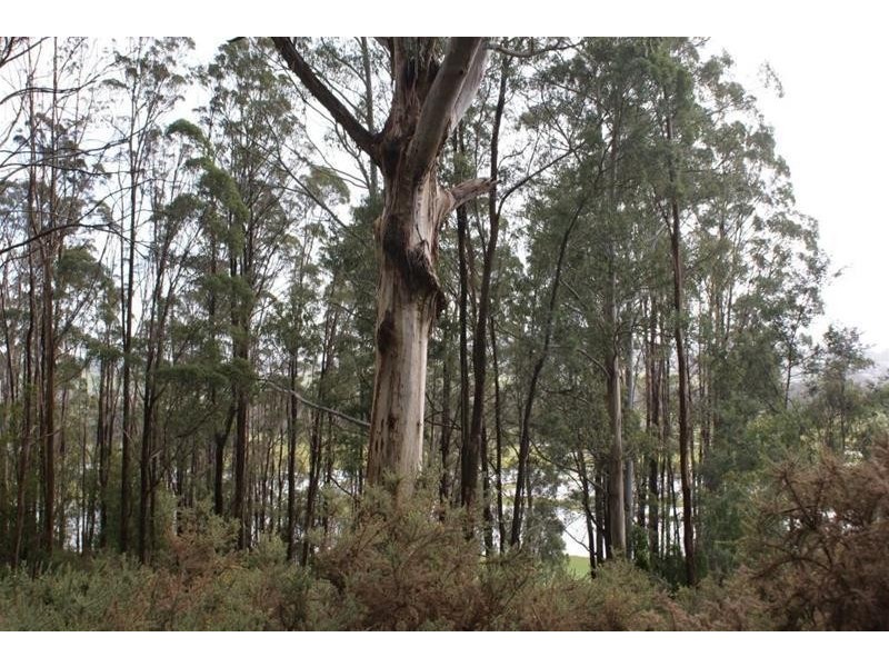 Lot 2 Pumicestone Road, Deloraine TAS 7304