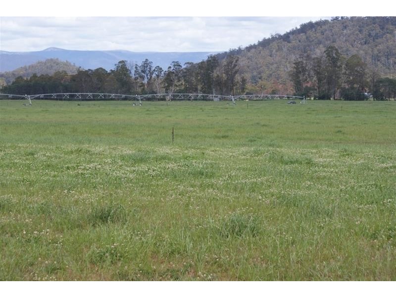 14439 Highland Lakes Road, Deloraine TAS 7304