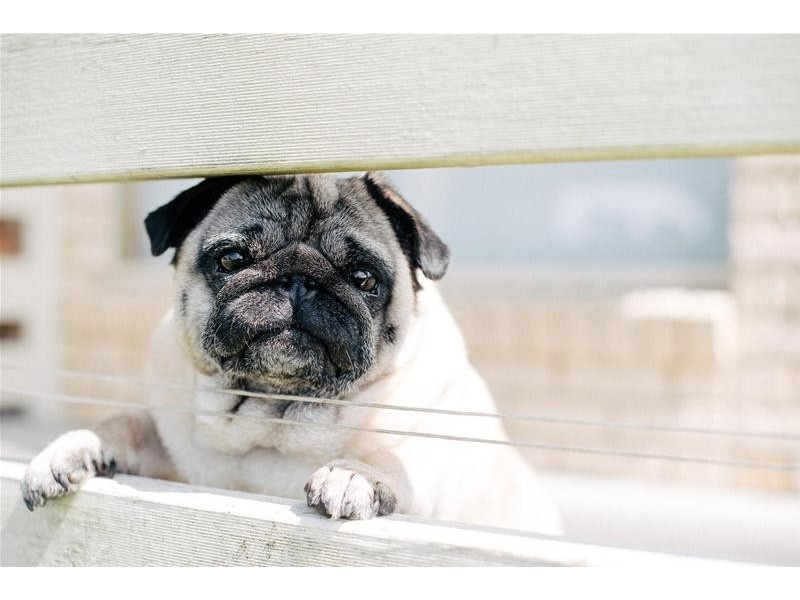 530 Long Plains Road, Bridgenorth TAS 7277