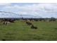 295 Hoggs Lane, Hagley TAS 7292