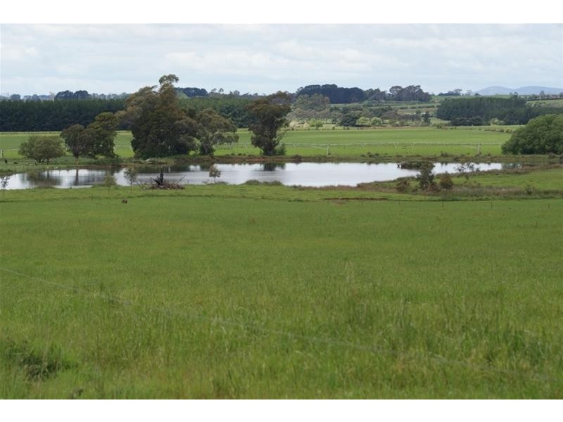 295 Hoggs Lane, Hagley TAS 7292