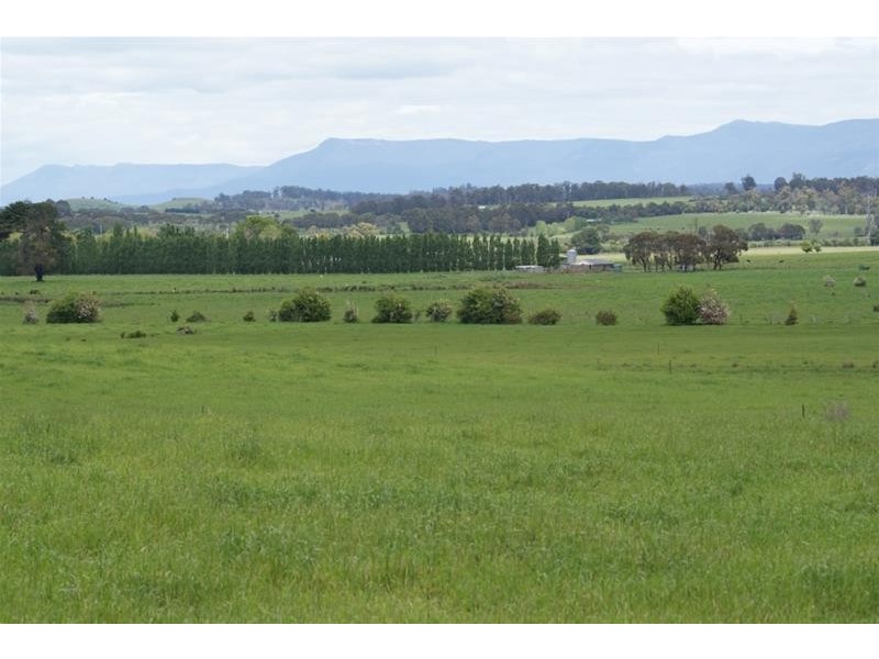 295 Hoggs Lane, Hagley TAS 7292