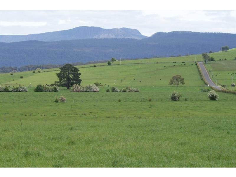 295 Hoggs Lane, Hagley TAS 7292