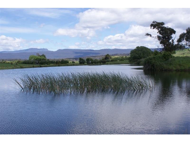 295 Hoggs Lane, Hagley TAS 7292