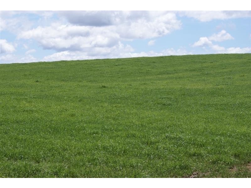 295 Hoggs Lane, Hagley TAS 7292