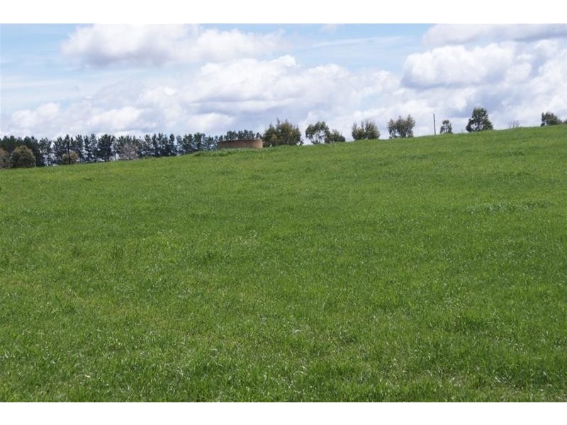 295 Hoggs Lane, Hagley TAS 7292