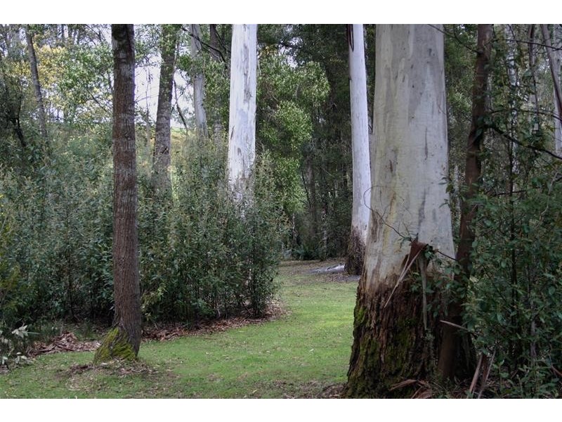 1184a Mole Creek Road, Chudleigh TAS 7304