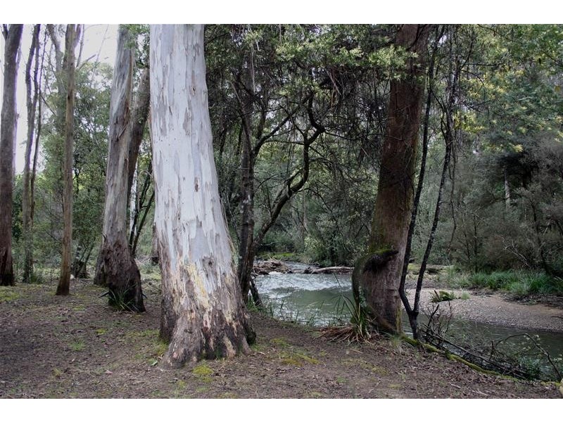 1184a Mole Creek Road, Chudleigh TAS 7304